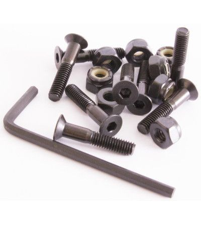 SHUSI TORNILLOS SKATE 1 IN
